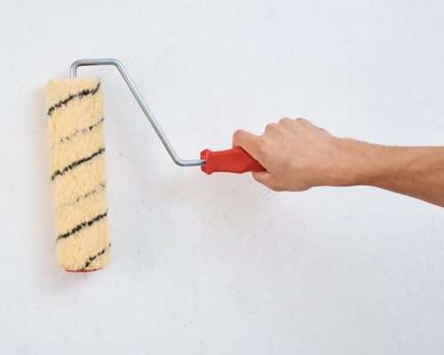 man-painting-wall-with-paint-roller-2022-12-16-12-50-48-utc